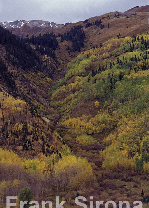 Shades of Green San Juan Mountains © Frank Sirona