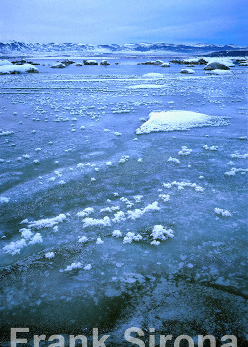 Crystal Lake Mono Lake © Frank Sirona