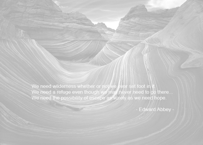 We need wilderness whether or not we ever set foot in it. We need a refuge even though we may never need to go there...